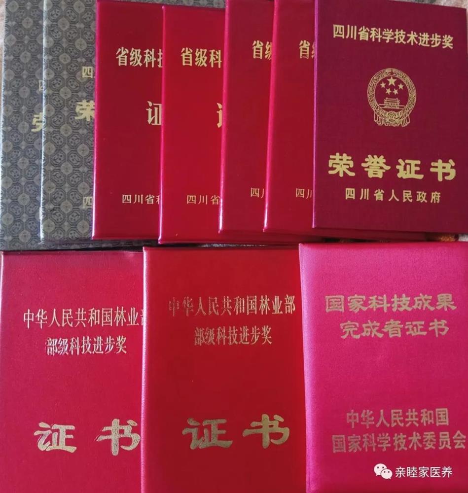 成都养老亲睦家七夕·54年的爱情