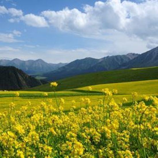 成都亲睦家旅居养老