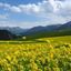 成都亲睦家旅居养老